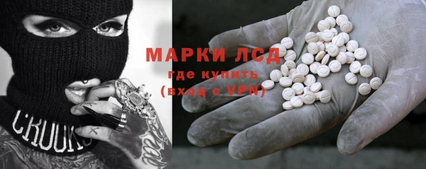 сатива Беломорск