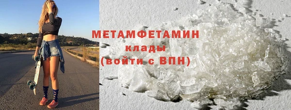 сатива Беломорск