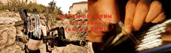 сатива Беломорск