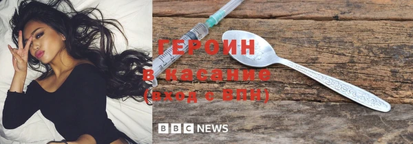 сатива Беломорск