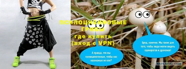 сатива Беломорск