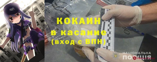 сатива Беломорск